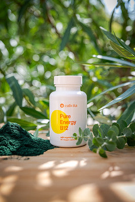 Pure Energy B12