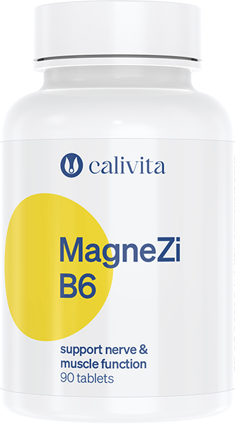 MagneZi B6